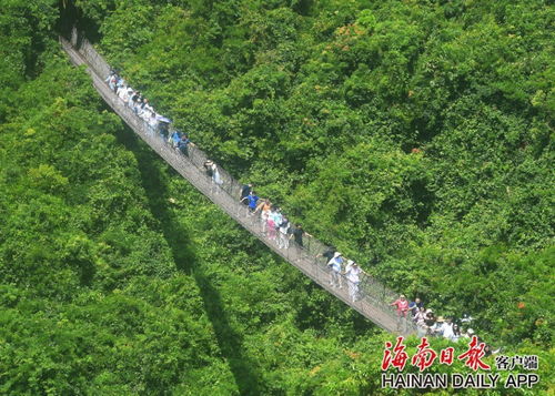 國慶假期海南旅文行業強勢復蘇，多元產品供給激活國內旅游市場